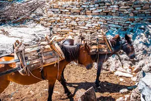 Tour image of Gjirokaster - The Stone City of UNESCO, Private Tour from Tirana