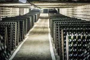 Tour image of 4 Hours Cricova Winery Tour with Tasting