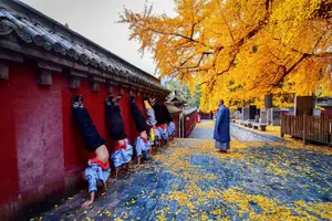 Tour image of Best Luoyang Private One Day Tour