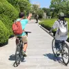 Image of Mountain Bike Tours