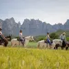 Image of Pack Animal Tours