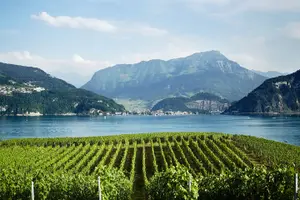 Tour image of 5 day Private Tour of Central Switzerland including Luzern, Grindelwald & Zurich