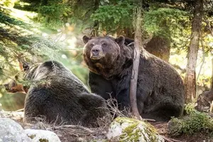 Tour image of Full Day Private Tour of Vancouver BC Canada from Seattle