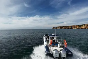 Tour image of Dolphin Watching from Lagos with Marine Biologists