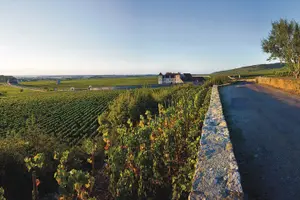 Tour image of Private excursion to Côte de Beaune and Côte de Nuits (full day)