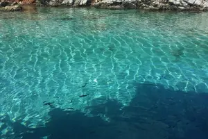 Tour image of Bodrum Private Boat Trip