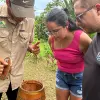 Image of Candy Making Classes