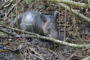 Image of Costa Rica