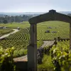 Image of Culinary Tours