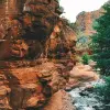 Image of Traditional Wellness