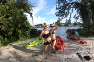Tour image of Full Day Single Kayak Rental In Crystal River