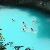 Image of Sightseeing Cruises