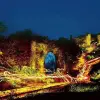 Image of Archaeology Tours