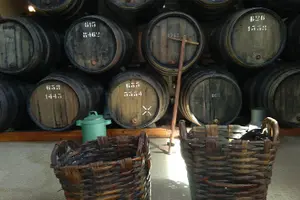 Tour image of Douro Valley Tour: 2 Vineyard Visits, River Cruise, Winery Lunch