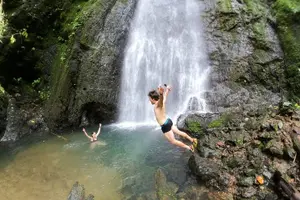 Tour image of 2-Day Tour in Corcovado, Sirena and San Pedrillo Stations