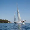 Image of Lunch Cruises