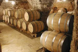 Tour image of Small-Group Full-Day Private Wine Tour from Avignon