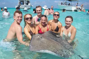 Tour image of Acquarius Stingray City and Snorkel Tours