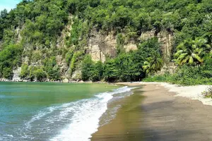 Tour image of St Lucia Bamboo Rafting Experience (Round trip Transfers)