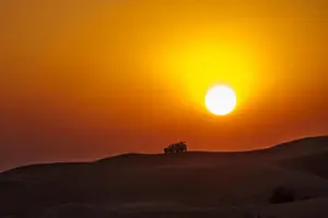 Tour image of Doha Night Desert Safari Camel Ride Dune Bashing with Transfer