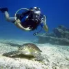 Image of Scuba Diving