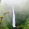 Image of Nature Walks