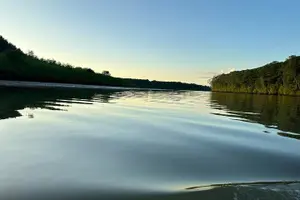 Tour image of Terraba-Sierpe Mangrove Tour