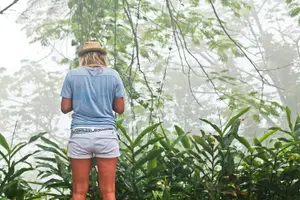 Tour image of El Yunque Rainforest - Drive Yourself & Meet your Guide
