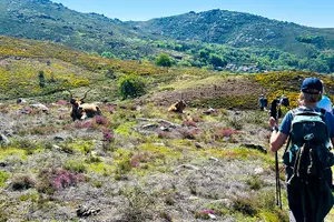 Tour image of National Park Peneda-Gerês Tour