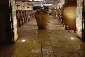 Image of France