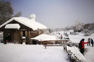 Tour image of 3 Day Private Harbin Ice Festival Tour with Entry Tickets
