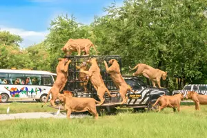 Tour image of Safari World + Marine Park Tickets with Lunch and Optional Transfers