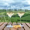 Image of Wine Tours