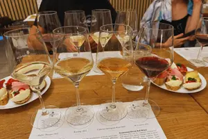 Tour image of Bratislava Wine Tasting in City Center