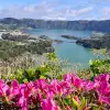 Image of Plantation Tours
