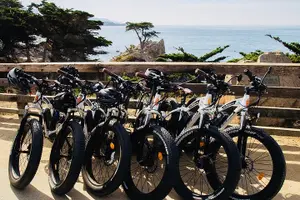 Tour image of Monterey's 17 Mile Drive Guided Electric Bike Tour, 3 hr