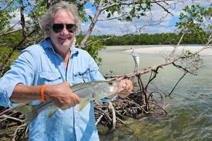 Tour image of 1/2 Day Morning Charter Fishing Naples Marco Everglades Sanibel