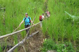 Tour image of Traditional Bidayuh Village Bamboo Longhouse Tour