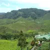 Image of Nature and Wildlife Tours