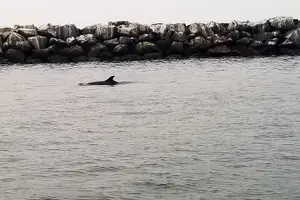 Tour image of One Hour Cruise Around Marina del Rey