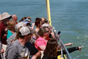 Tour image of St. Pete Beach Dolphin Racer Adventure