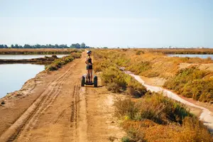 Tour image of Ria Formosa Natural Park Birdwatching Segway Tour from Faro