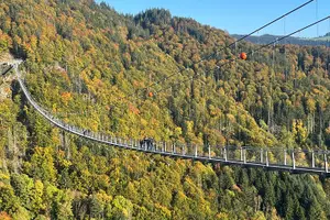 Tour image of Black Forest Germany Private Car Tour for 1 to 6 Persons