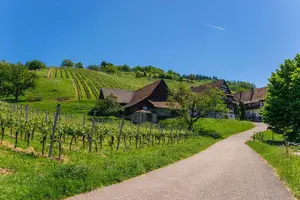 Tour image of Germany Baden-Baden & Black Forest Private Day Trip from Strasbourg