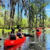 Image of Kayaking Tours