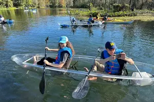 Tour image of Silver Springs Clear Kayak Manatee, Monkey & Wildlife Adventures