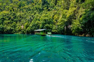 Tour image of The tour of the must-see sites of Bohol