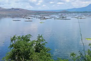 Tour image of Taal Volcano Experience: Scenic Countryside and Volcano Tour