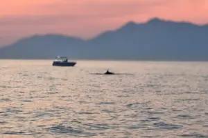 Tour image of Sarandë: Explore Bays with Swim Stops, Snorkel at WWII Shipwreck