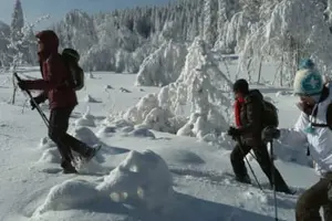 Tour image of Snowshoeing excursions in Chartreuse near Grenoble